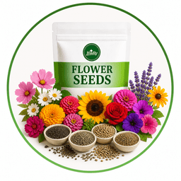 Flower Seeds
