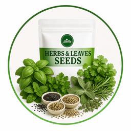 Herb Seeds