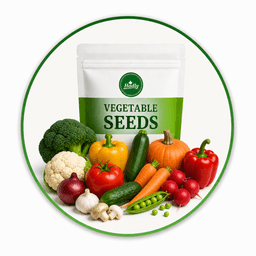 Veggie Seeds