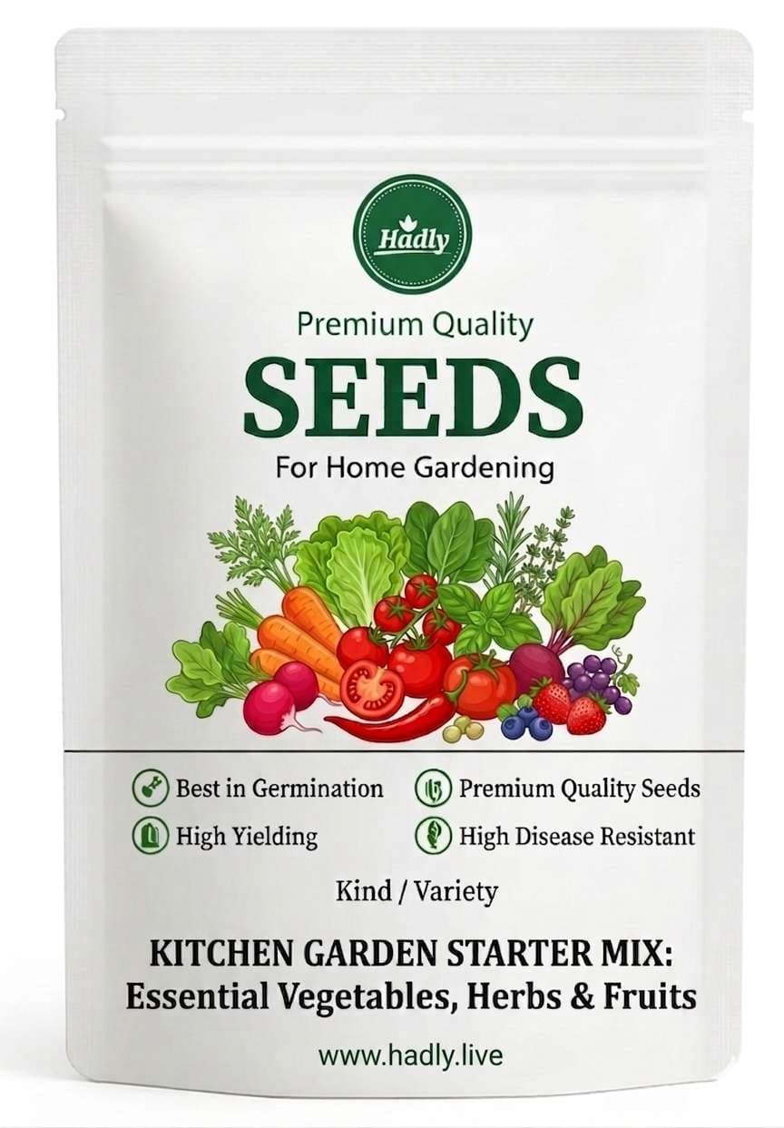 Cucumber Seed